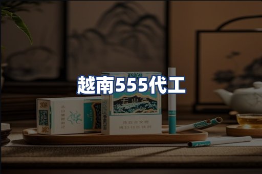 越南555代工